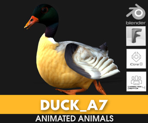 Duck_A7