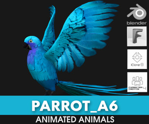 Parrot_A6