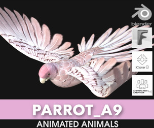 Parrot_A9