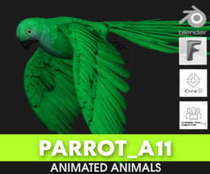 Parrot_A11