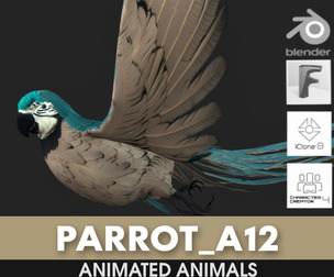 Parrot_A12