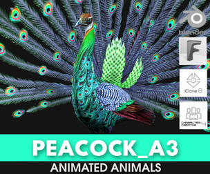 Peacock_A3