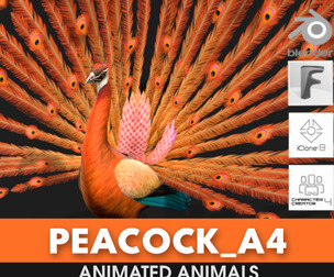 Peacock_A4
