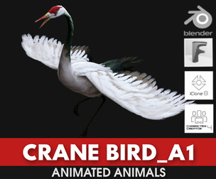 Crane Bird_A1