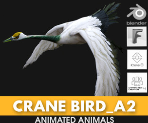 Crane Bird_A2