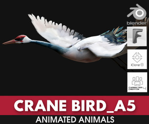 Crane Bird_A5