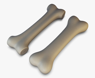 Cartoon Bone v 2 3D Model