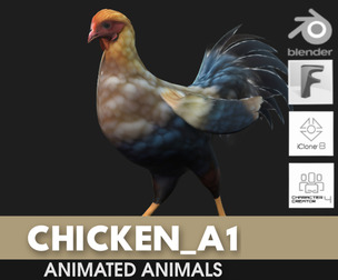 Chicken_A1