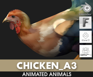 Chicken_A3