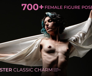 700+ Female Figure Poses - Aster Classic Charm