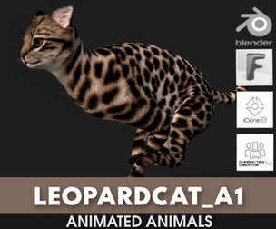 Leopard Cat_A1