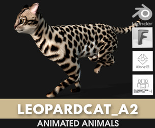 Leopard Cat_A2