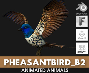 PheasantBird_B2