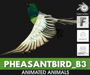 PheasantBird_B3