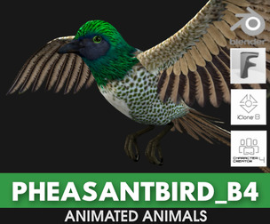 PheasantBird_B4
