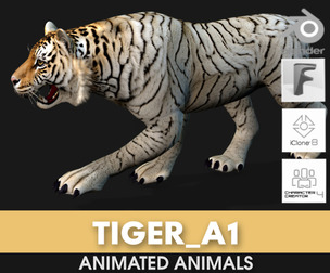 Tiger_A1