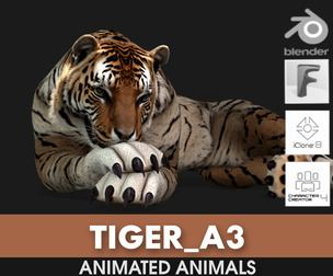Tiger_A3