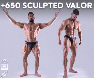 +650 Sculpted Valor Reference Pictures - Vol 11