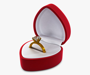 Ring in Red Box v 1 3D Model