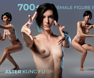 700+ Female Figure Poses - Aster Kung Fu