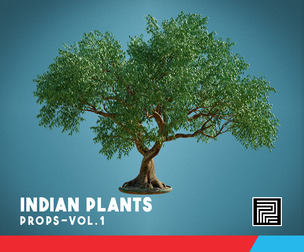 INDIAN PLANTS VOL.1