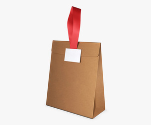 Gift Paper Bag M 1 3D Model