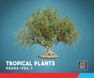 TROPICAL PLANTS VOL.1