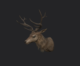 Deer 3D Model 001