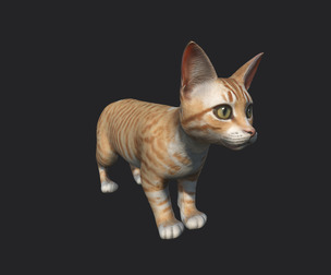 Cat 3D Model 001