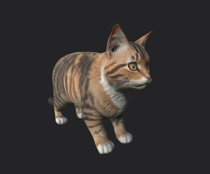 Cat 3D Model 001