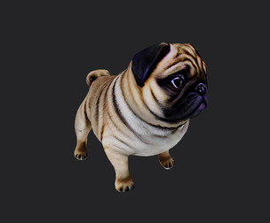shar pei Model 001