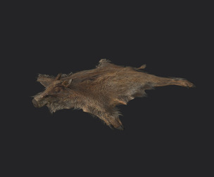 Pigskin 3D Model 001