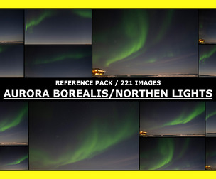 GREENLAND - NORTHEN LIGHTS / AURORA BOREALIS / Photo Reference / 221 images