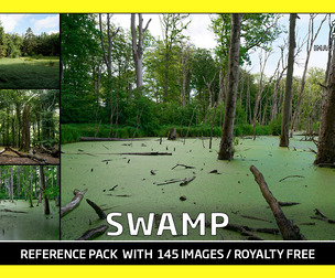 SWAMP / Photo Reference / 145 images