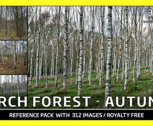 BIRCH COLLECTION - AUTUMN / Photo Reference / 312 images