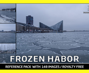FROZEN HABOR / Photo Reference / 148 images