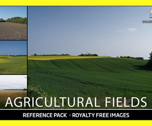 Agricultural fields / Photo Reference / 907 images