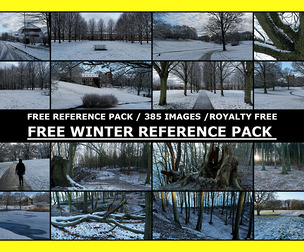 FREE / WINTER PACK / Photo Reference / 385 images