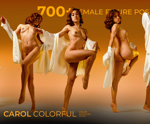 700+ Female Figure Poses - Carol Colorful