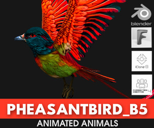 PheasantBird_B5