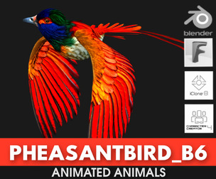 PheasantBird_B6