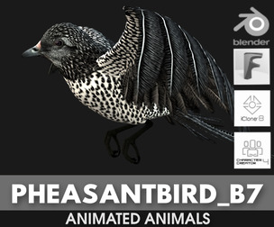 PheasantBird_B7