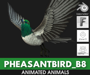 PheasantBird_B8