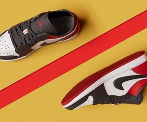 Air Jordan Low BlackToe Shoes