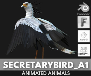 Secretary Bird_A1