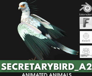 Secretary Bird_A2