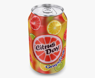 Citrus Day Grapefruit Soda Can 330ml Simple M 1 3D Model