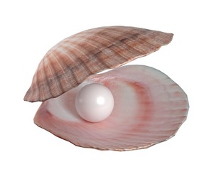 Conch shell pearl