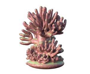 Coral reef v4