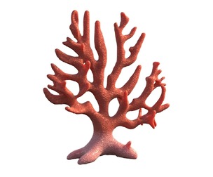 Coral reef v7